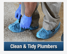 Tidy Plumbers Edgecliff